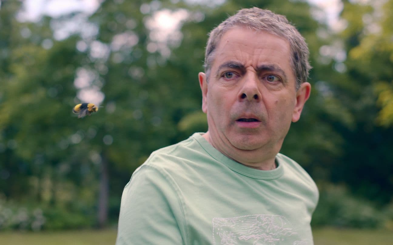 Rowan Atkinson em Homem Vs. Abelha