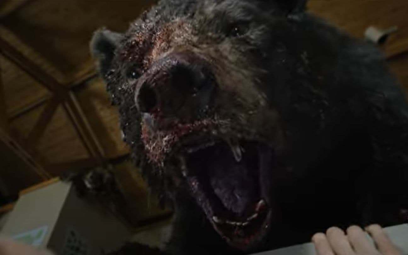 O Urso do Pó Branco