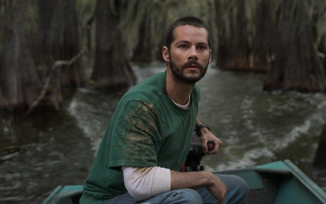 Dylan O'Brien em cena de Os Horrores do Caddo Lake, novo filme da Max