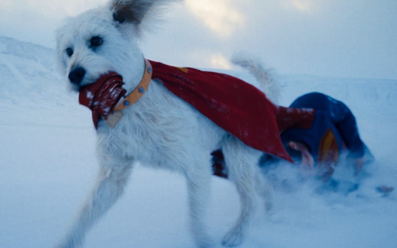 Krypto em cena de Superman