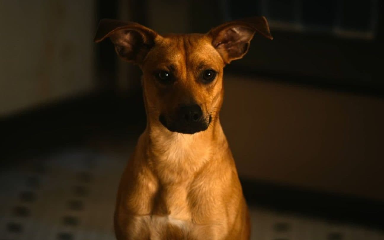 Protagonista de Caramelo, da Netflix