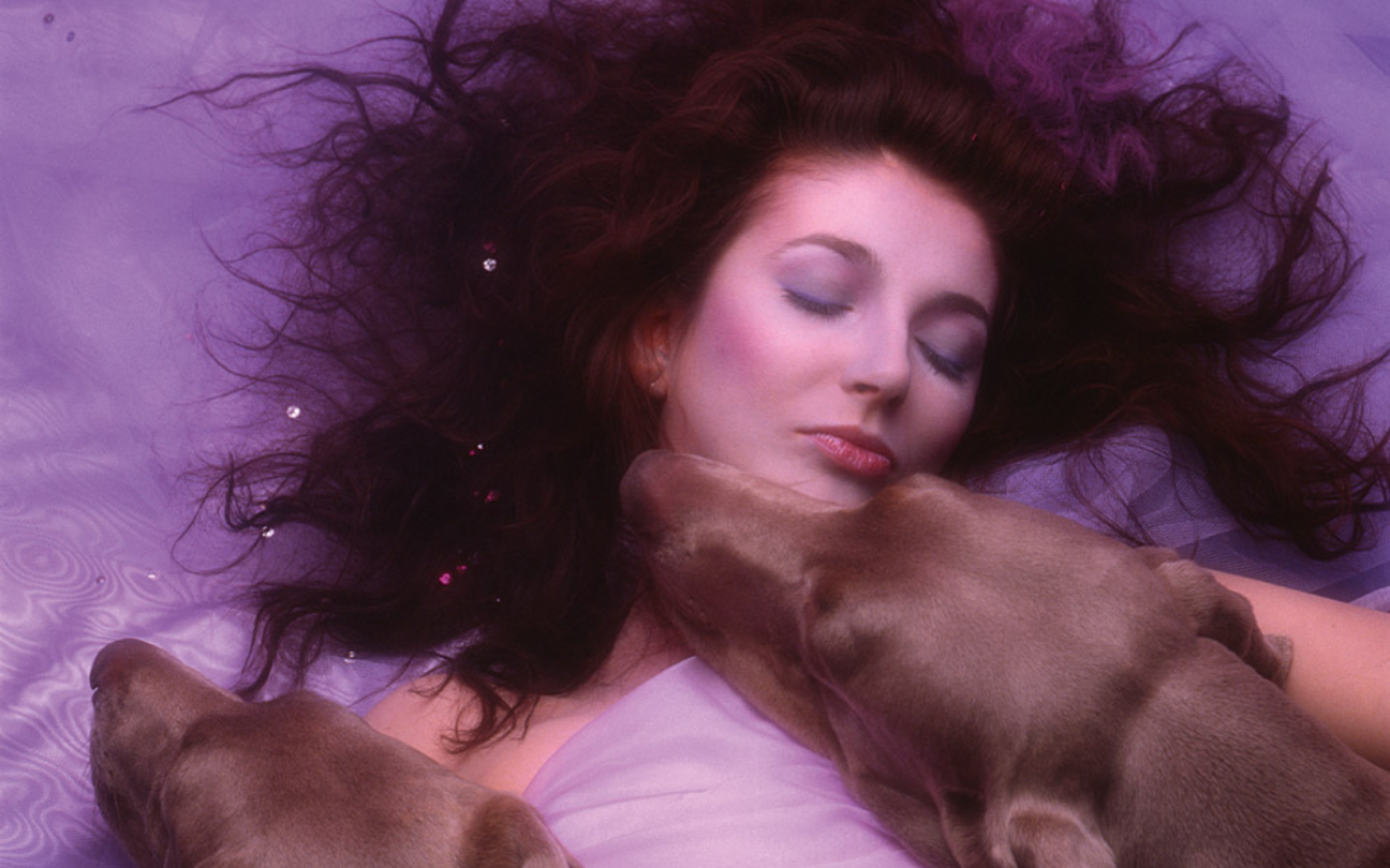 A cantora Kate Bush aprece deitada ao lado de dois cachorros, na capa do álbum Hounds of Love