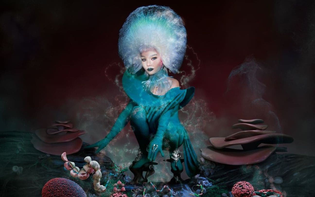 Björk ao lado de cogumelos